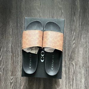 COACH Signature Slides (Men)